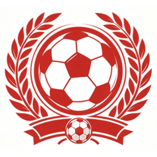 看球网 logo